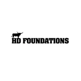 HD Foundation Repair Fort Worth logo